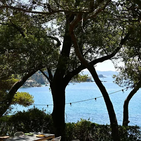 Hotel Le Provencal Renove En 2025 - Bord De Hyères