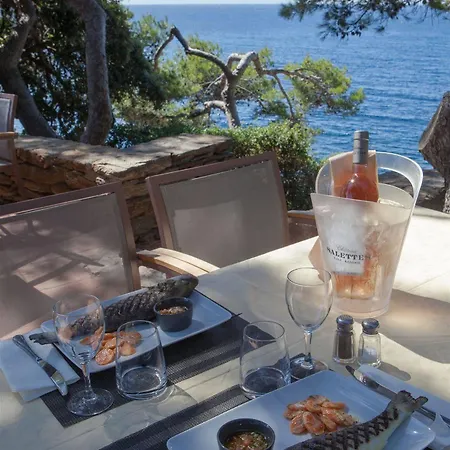 Hotel Le Provencal Renove En 2025 - Bord De Hyères