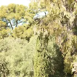 Hotel Le Provençal - Rénové En 2025 - Bord De Hyères