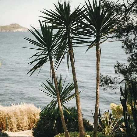 Hotel Le Provencal Renove En 2025 - Bord De 3*