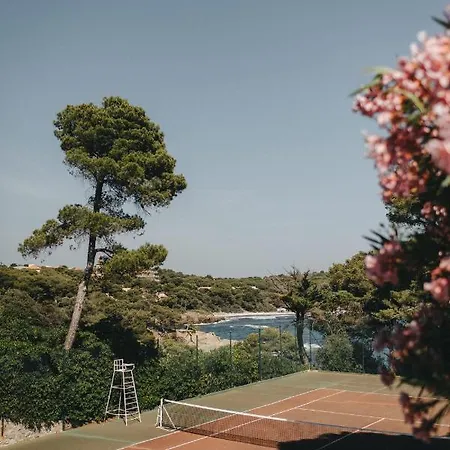 Le Provencal Renove En 2025 - Bord De Hyeres