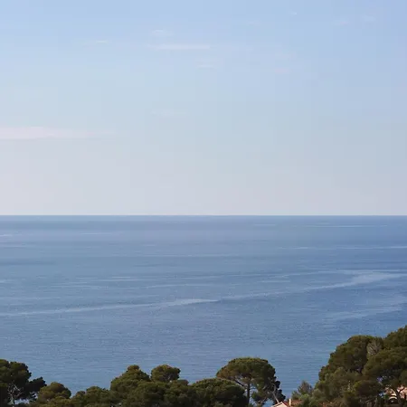 Le Provencal Renove En 2025 - Bord De Hyeres