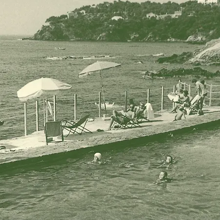 Hotel Le Provencal Renove En 2025 - Bord De Hyeres