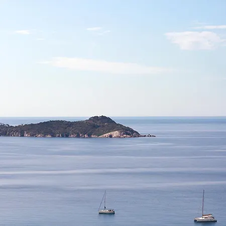 Le Provencal Renove En 2025 - Bord De 3* Hyeres