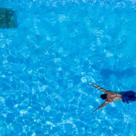 Le Provencal Renove En 2025 - Bord De 3* Hyeres