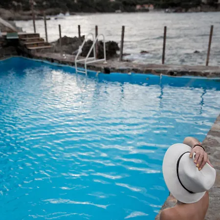 Le Provencal Renove En 2025 - Bord De Hotel Hyeres
