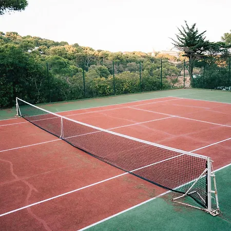 Le Provencal Renove En 2025 - Bord De Hyeres