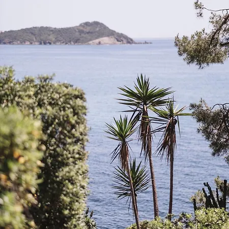 Le Provencal Renove En 2025 - Bord De Hotel Hyeres