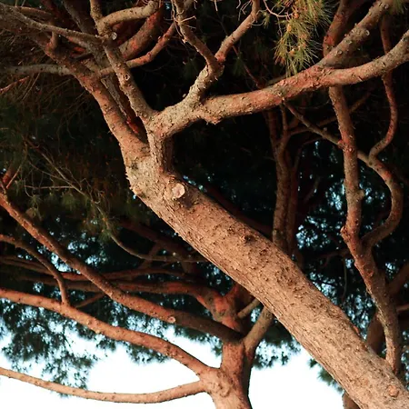 Le Provencal Renove En 2025 - Bord De