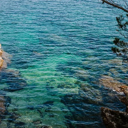 Le Provencal Renove En 2025 - Bord De Hyeres