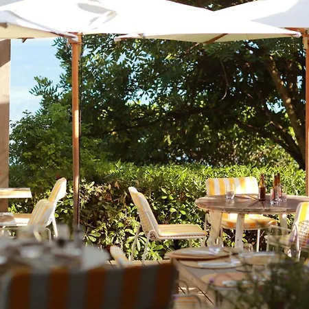 Le Provencal - Bord De Hyères