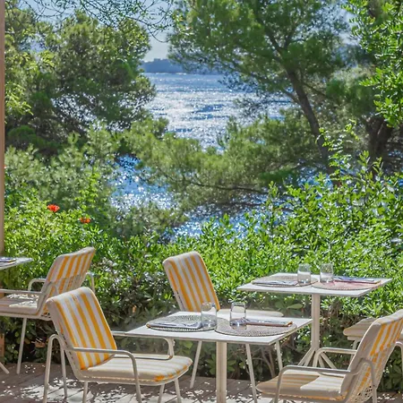 Le Provencal - Bord De Hyères