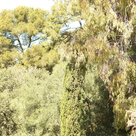 Hotel Le Provencal - Bord De Hyères