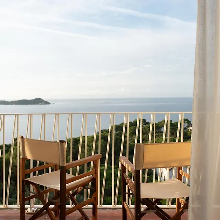 Le Provencal - Bord De Hyères