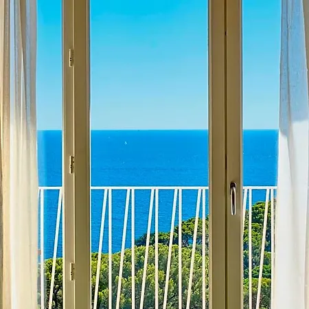 Le Provencal - Bord De Hotel Hyères