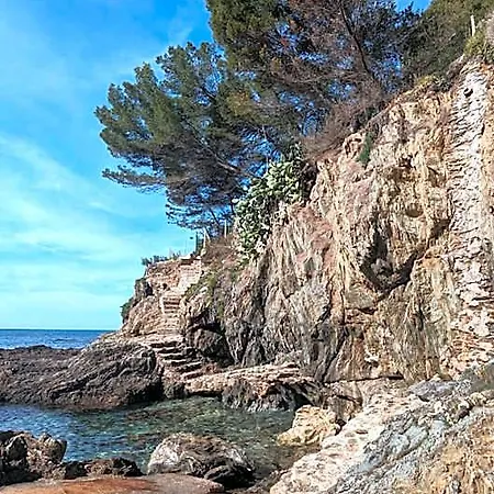 Le Provencal - Bord De 4*