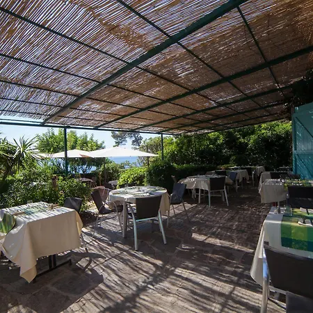 Le Provencal Renove En 2025 - Bord De Hotel