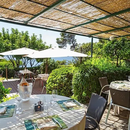 Hotel Le Provencal Renove En 2025 - Bord De