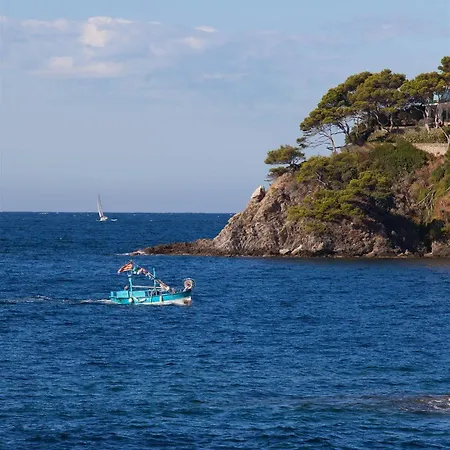 Le Provencal Renove En 2025 - Bord De 3* Hyeres