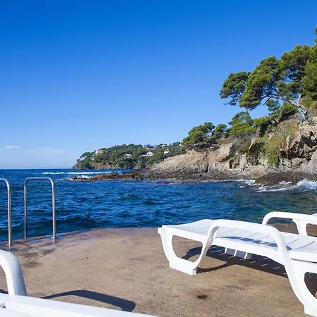 Hotel Le Provencal Renove En 2025 - Bord De Hyeres