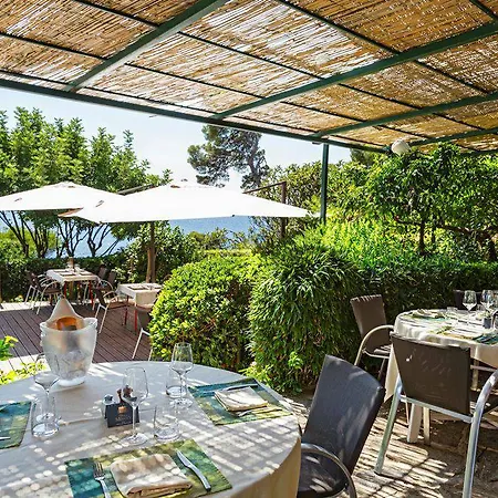 Hotel Le Provencal Renove En 2025 - Bord De Hyeres