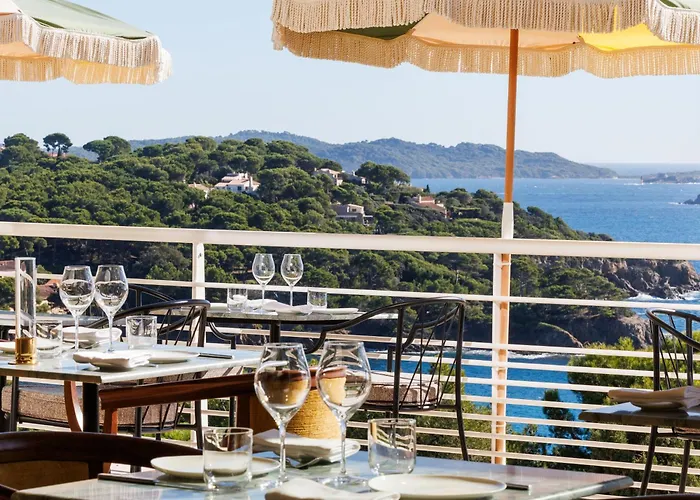 Le Provencal - Renove En 2025 - Bord De 4* Hyères