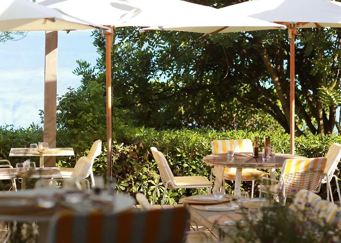 Le Provencal - Renove En 2025 - Bord De Hyères