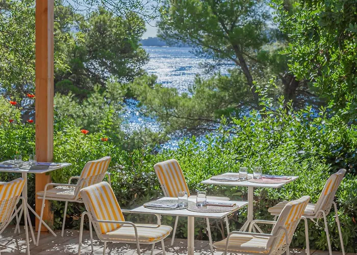 Le Provencal - Renove En 2025 - Bord De Hyères
