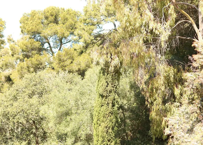 Hotell Le Provencal - Renove En 2025 - Bord De Hyères