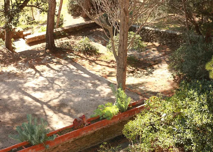 Hotell Le Provencal - Renove En 2025 - Bord De Hyères