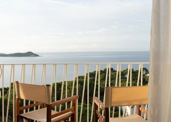 Le Provencal - Renove En 2025 - Bord De Hyères