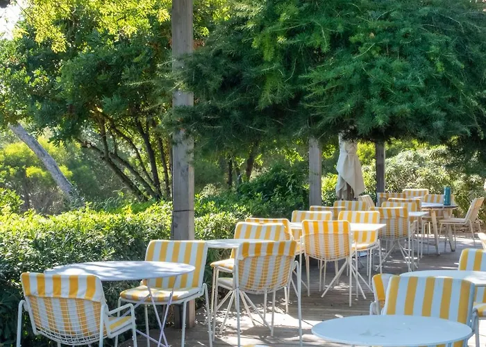 Le Provencal - Renove En 2025 - Bord De 4* Hyères