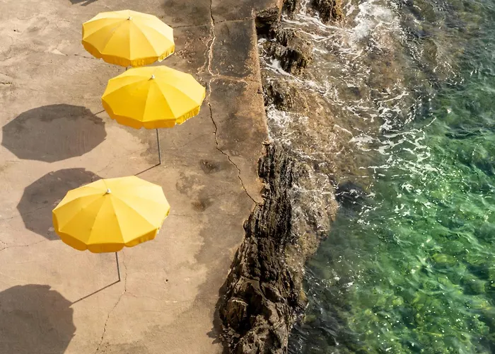 Le Provencal - Renove En 2025 - Bord De 4* Hyères